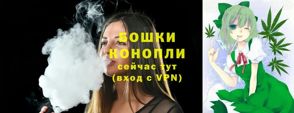 ECSTASY Вязьма