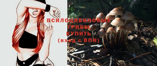 ECSTASY Вязьма